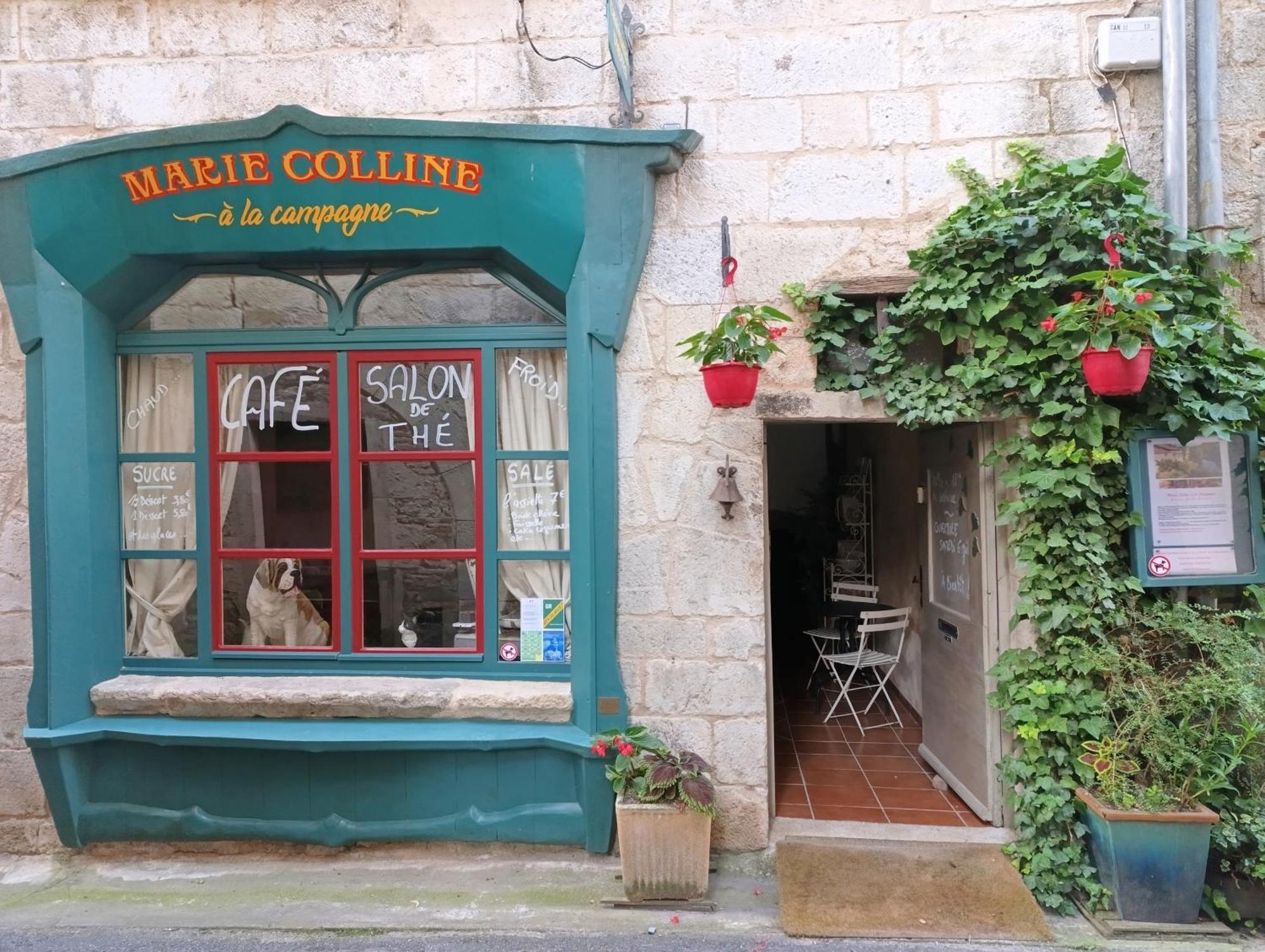 Marie Colline A La Campagne Bed & Breakfast Saint-Antonin Dış mekan fotoğraf